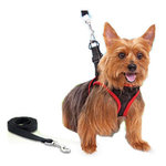 Leash for pets As seen on TV